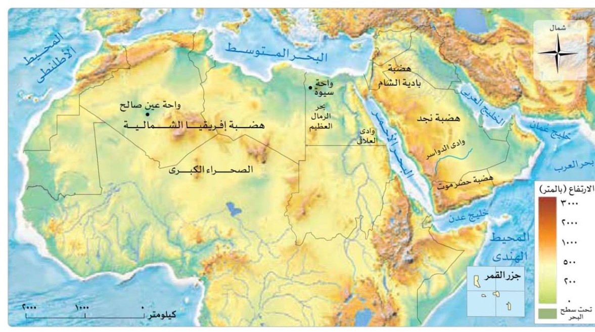 رشا عبدالرحمن مصطفى صابر